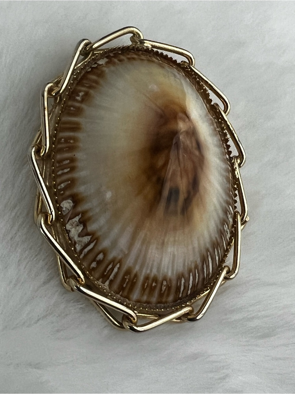 Vintage Mid Century Polished Shell Convertible Pendant & Scarf Clasp